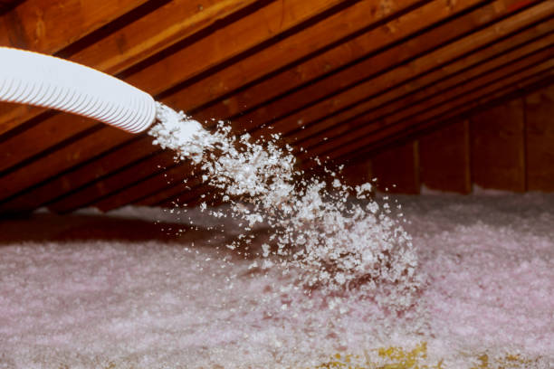 Best Spray Foam Insulation  in Alderson, WV
