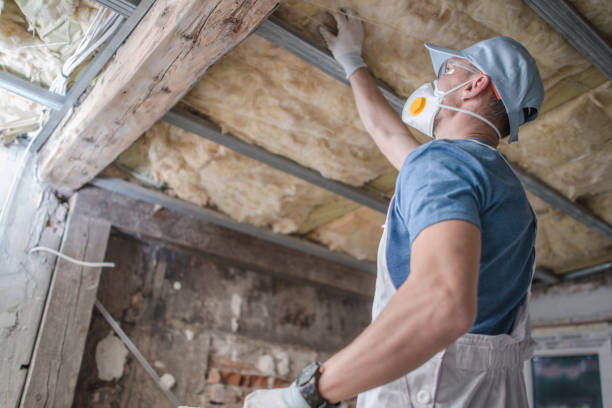 Best Insulation Repair Services  in Alderson, WV