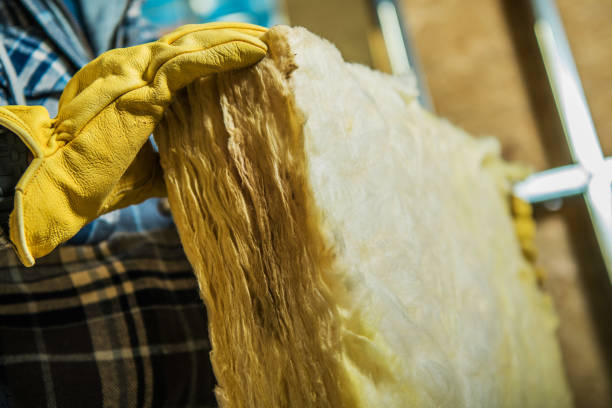 Best Insulation Replacement Services  in Alderson, WV