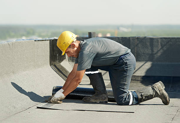 Best Attic Insulation Installation  in Alderson, WV