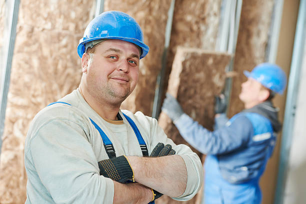 Best Best Insulation Companies  in Alderson, WV