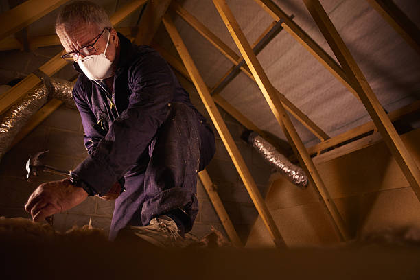 Best Insulation Contractor Near Me  in Alderson, WV