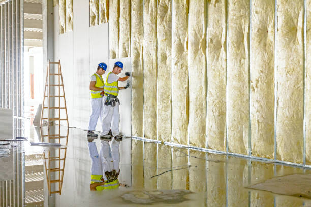 Best Commercial Insulation Contractor  in Alderson, WV